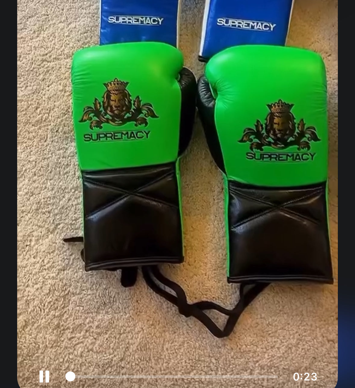 Custom fight gloves